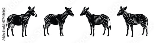 Black and white zebra illustration graphic design animal art wildlife african safari zebras drawing