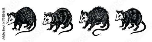 Opossum illustration black and white vintage style vector drawing of north american marsupial animal