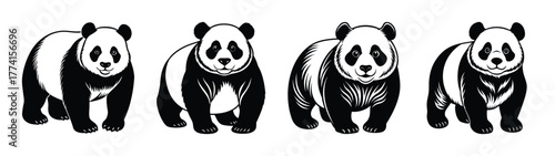 Four panda bears illustration vector art black and white panda bear graphic design image drawing