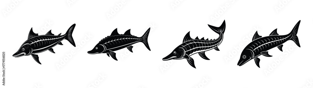 Fototapeta premium Discover unique black and white fish illustration vector art featuring swordfish and marlin species