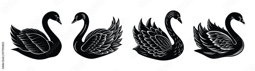 Obraz premium Elegant black swan vector illustration for creative designs and artistic projects download now free