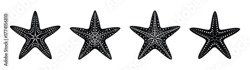 Abstract starfish vector illustration design black and white ocean sea life graphic art pattern nature marine