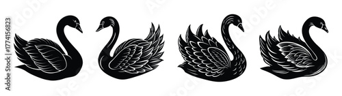 Elegant black swan vector illustration for creative designs and artistic projects download now free