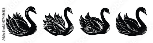 Elegant black swan vector illustration set for logo design and tattoo art inspiration ideas