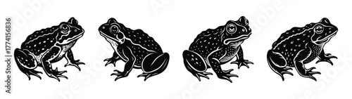 Four black and white illustration of toads, amphibians, and frogs in a row, animal art
