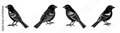Four black bird illustrations on white background perfect for birdwatching enthusiasts design