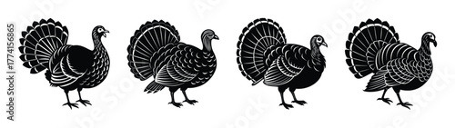 Black and white turkey illustration vector graphic for thanksgiving holiday design and art projects