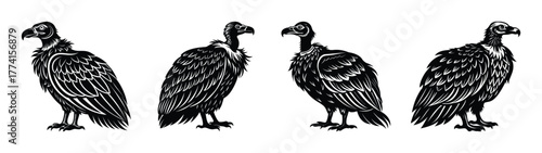 Illustration of black vultures standing in a row, scavenger birds, carrion eaters, wildlife art, vector drawing, birds of prey