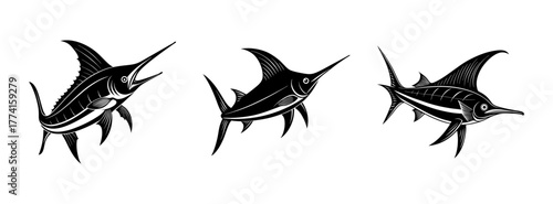 Three marlin fish vector illustration, black and white drawing of swordfish for fishing art design