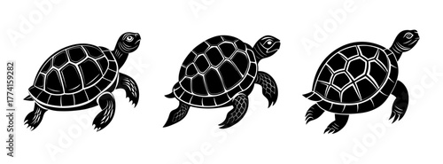 Sea turtle illustration black and white aquatic animals ocean wildlife marine life turtles art vector