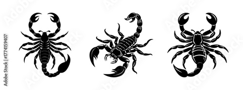 Detailed black scorpion vector illustrations for tattoo designs and zodiac sign artwork concept