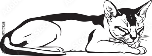 Abyssinian cat resting with eyes closed, elegant line art illustration in black and white showing serene posture and delicate features, perfect for pet lovers and decorative designs.