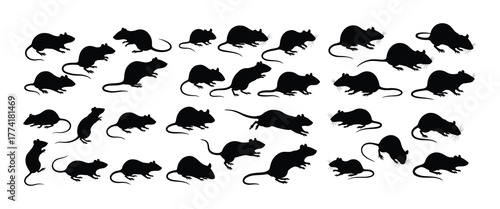 Collection of Rodent Silhouettes Various Poses and Actions of Rats and Mice