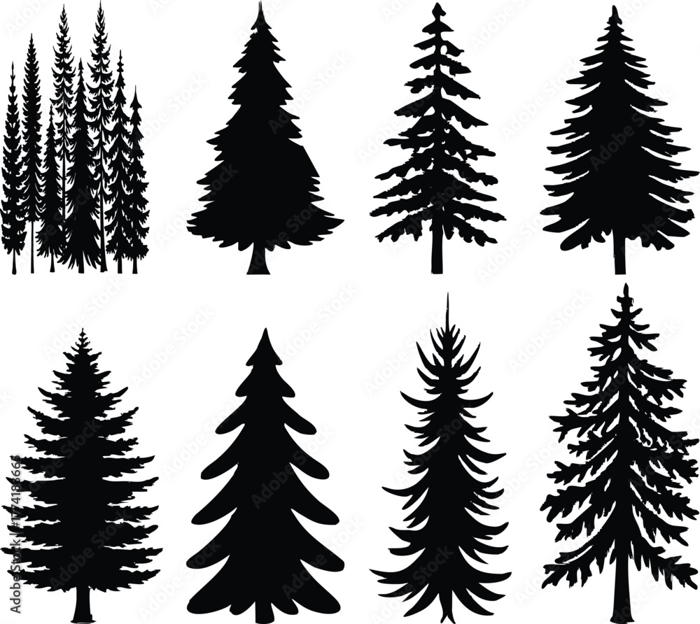 Obraz premium Set of fir trees vector illustration for Christmas and winter holiday decoration