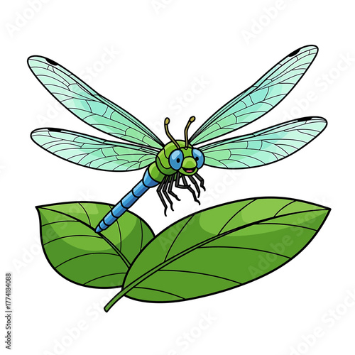 Illustration of a dragonfly perched on green leaves.