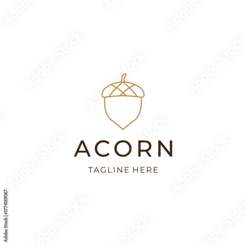 Line art acorn logo design. geometric nature flat icon illustration vector