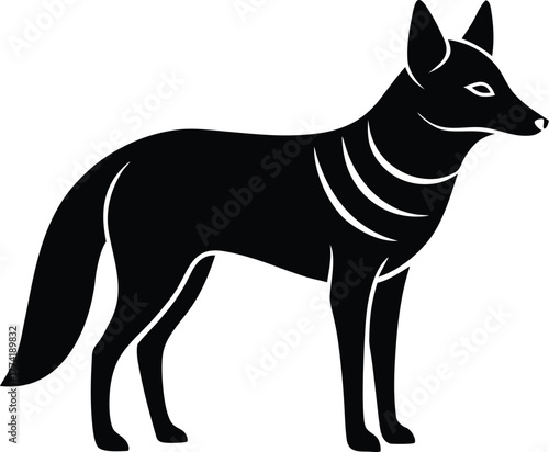 Black backed jackal animal illustration icon for wildlife and nature designs