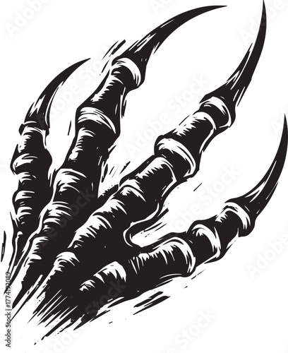 Striking Raptor Claw Illustration: Minimalist Sumi-e Style Graph
