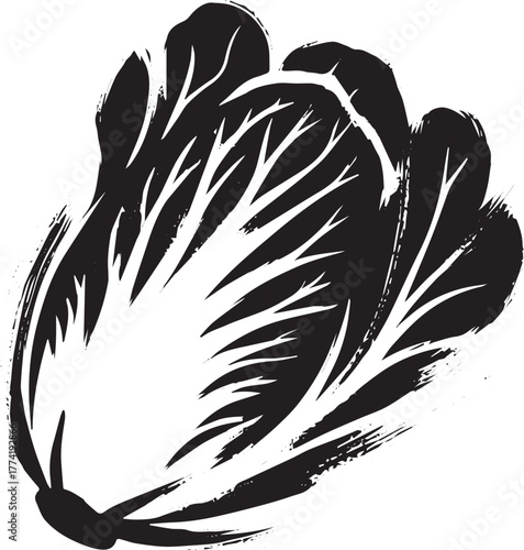 Minimalist sumi-e illustration showcasing a Napa Cabbage vegetab