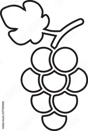 Ripe Grapes Vector Illustration for Vineyard Harvest Fruit Fresh Agriculture Design