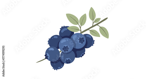 An illustrative depiction of a cluster of ripe blueberries with subtle details, attached to a leafy branch.