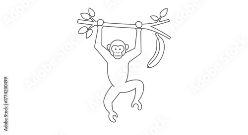 Simple line drawing of a monkey hanging from a branch with a banana showcasing jungle life