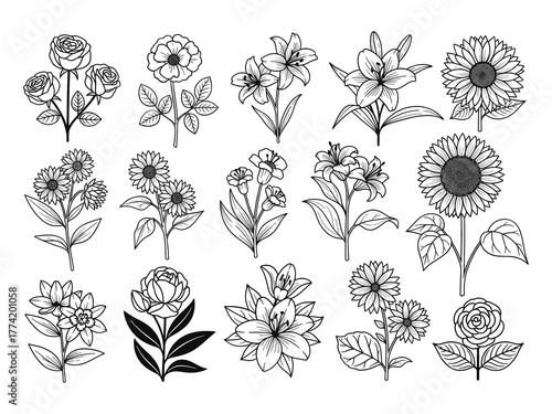 Collection of Common Flowers Line Art