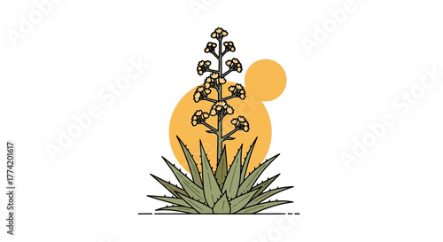 Stylized agave plant illustration with sun background depicting a desert oasis scene