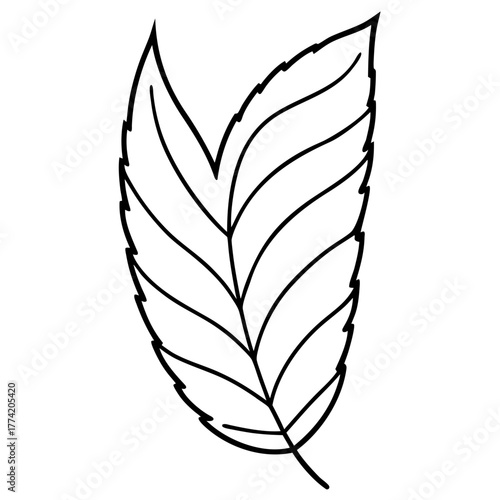 Neem Leaf Line Drawing Vector Minimalist One Line Leaf Outline Illustration