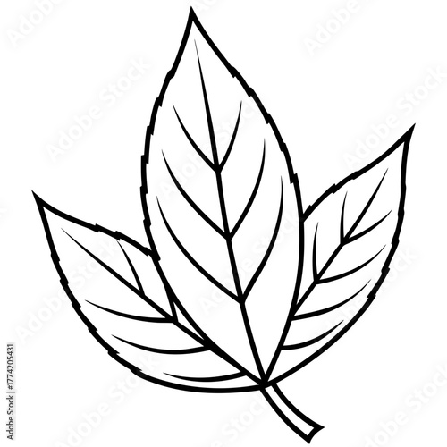 Neem Leaf Line Drawing Vector: Minimalist One Line Leaf Outline Illustration