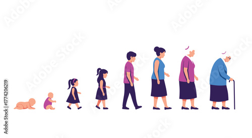 A complete visual representation of the human life cycle, illustrating the stages of growth and aging from infancy through adulthood to old age.