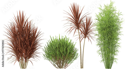 A diverse collection of ornamental garden plants and shrubs, including bamboo and red foliage bushes, isolated on a white background