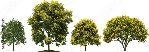 Varied selection of distinct green and yellow flowering trees, meticulously isolated for versatile use in digital landscapes, design projects, and environmental simulations