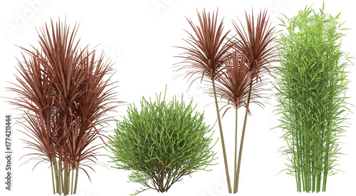 A diverse group of lush garden plants, including red foliage Cordyline and green bamboo, presented as isolated elements on a white backdrop
