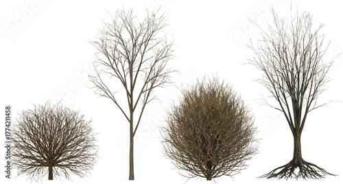 Diverse collection of bare deciduous trees and bushes, offering natural winter elements for architectural renderings or landscape design concepts, isolated on white