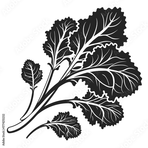 Stylized black and white illustration of kale leaves on black background