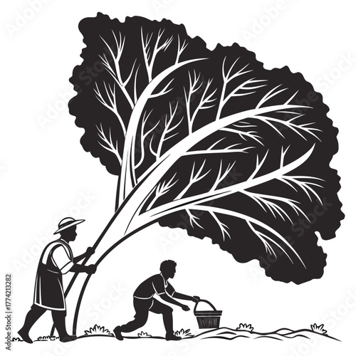 People harvesting fruit under a large tree