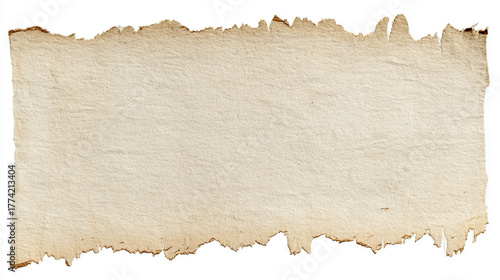 Wallpaper Mural A piece of old, textured, light brown paper with torn and distressed edges, isolated on a white background, offering a vintage and rustic feel. Torontodigital.ca