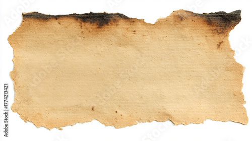 Wallpaper Mural Distressed old paper with burnt edges , isolated on a white background, perfect for vintage designs. Torontodigital.ca