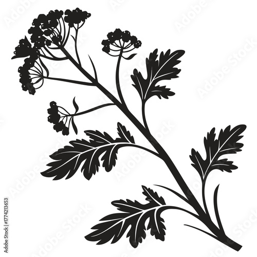 Stylized black and white illustration of a flowering plant branch