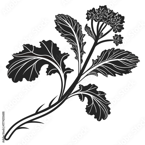Stylized black and white illustration of a broccoli plant