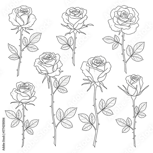Diverse Collection of Outline Rose Flower Illustrations with Stems and Leaves
