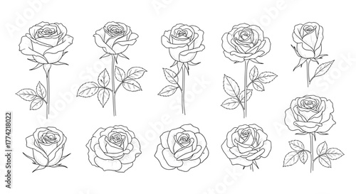 Set of Ten Outline Rose Designs: Full Flowers, Buds, and Blossoms