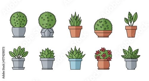 Set of Flat Design Vector Potted Houseplants and Succulents