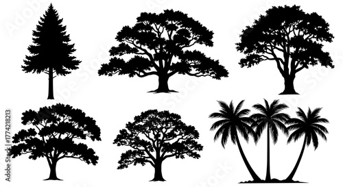 Assorted Tree Silhouettes Vector Set - Coniferous, Deciduous, and Palm Trees