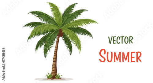Tropical Palm Tree Vector Illustration with Summer Theme for Beach and Vacation Designs