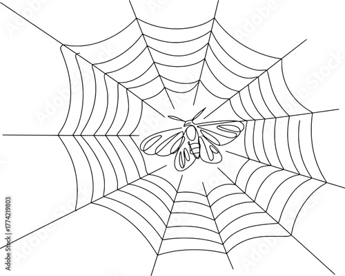 Detailed spider web with insect caught in threads capturing prey nature scene