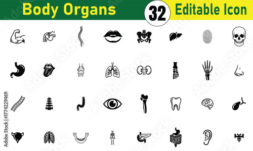 Collection of editable body organ icons for medical and health related designs