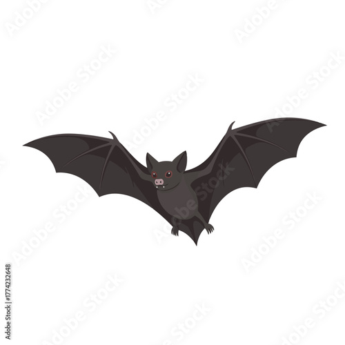 Flying bat with spread wings in mid-air, dark silhouette.