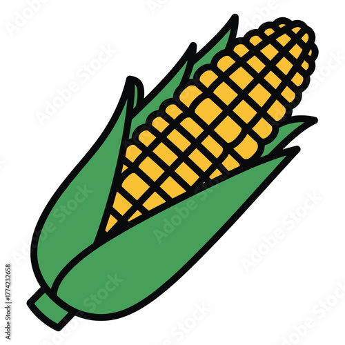 Fresh Corn on the Cob - A Delicious and Nutritious Vegetable.